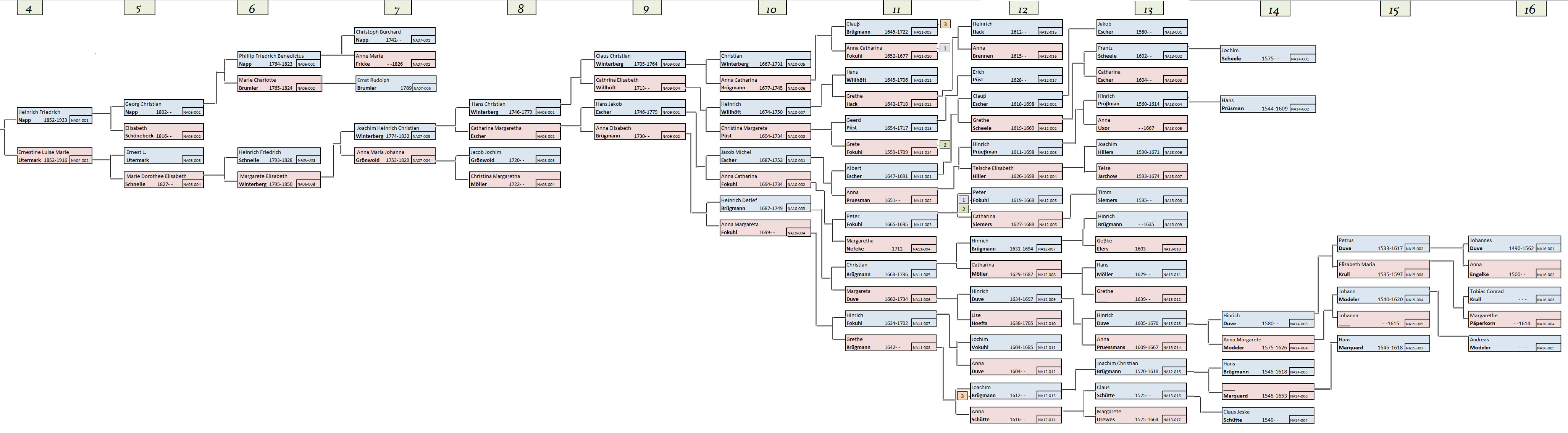 Napp Family Tree Chart